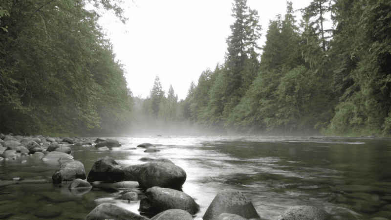 The Cedar River Watershed