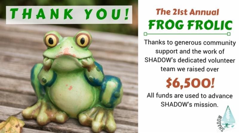 Frog Frolic Wrap Up
