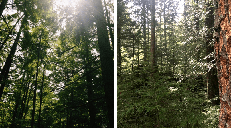 What’s a conservation easement?