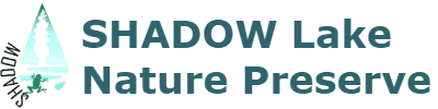 SHADOW