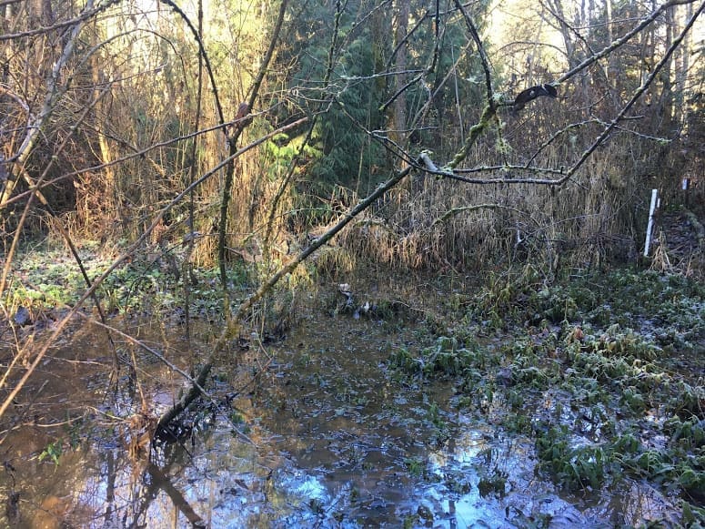The Worth of Our Water and Wetlands